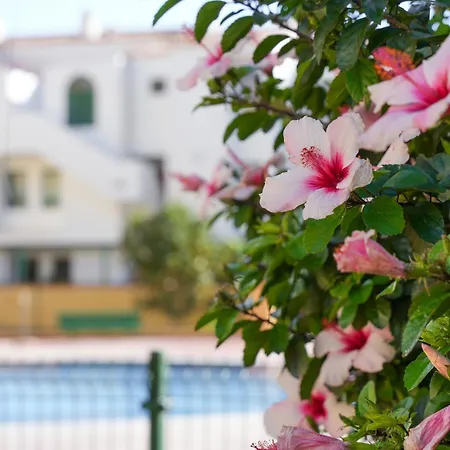 Apartman Caroline's Tropical Paradise