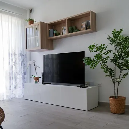 Caroline's Tropical Paradise