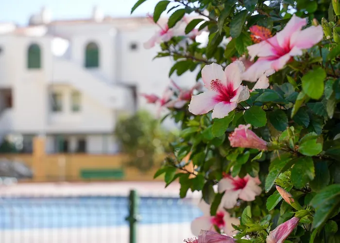 Apartament Caroline's Tropical Paradise